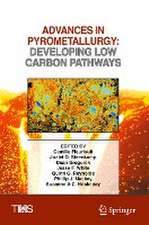 Advances in Pyrometallurgy: Developing Low Carbon Pathways