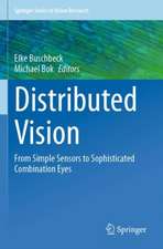 Distributed Vision