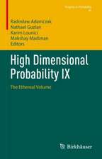 High Dimensional Probability IX: The Ethereal Volume