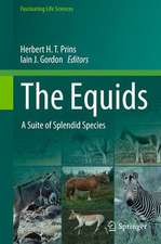 The Equids: A Suite of Splendid Species