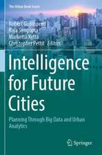 Intelligence for Future Cities: Planning Through Big Data and Urban Analytics