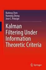 Kalman Filtering Under Information Theoretic Criteria