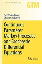Continuous Parameter Markov Processes and Stochastic Differential Equations