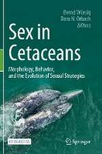 Sex in Cetaceans