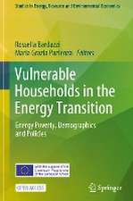 Vulnerable Households in the Energy Transition: Energy Poverty, Demographics and Policies