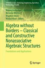 Algebra without Borders – Classical and Constructive Nonassociative Algebraic Structures: Foundations and Applications