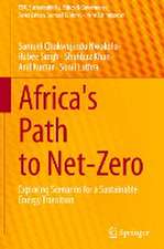 Africa's Path to Net-Zero: Exploring Scenarios for a Sustainable Energy Transition