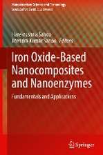 Iron Oxide-Based Nanocomposites and Nanoenzymes: Fundamentals and Applications