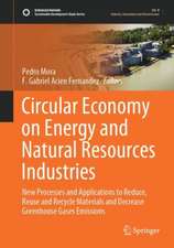 Circular Economy on Energy and Natural Resources Industries: New Processes and Applications to Reduce, Reuse and Recycle Materials and Decrease Greenhouse Gases Emissions