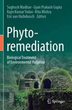 Phytoremediation