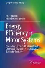 Energy Efficiency in Motor Systems