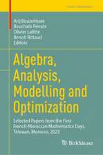 Algebra, Analysis, Modelling and Optimization
