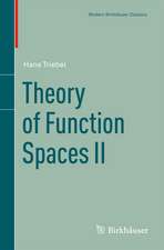 Theory of Function Spaces II