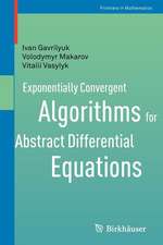 Exponentially Convergent Algorithms for Abstract Differential Equations