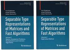 Separable Type Representations of Matrices and Fast Algorithms