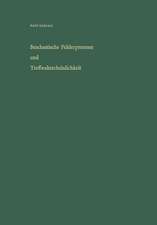 Stochastische Fehlerprozesse und Treffwahrscheinlichkeit: Ein methodischer Überblick