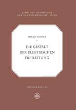 Die Gestalt der Elektrischen Freileitung