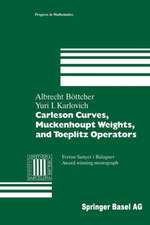 Carleson Curves, Muckenhoupt Weights, and Toeplitz Operators