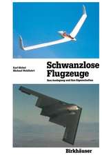 Schwanzlose Flugzeuge: Ihre Auslegung und ihre Eigenschaften