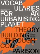 Vocabularies for an Urbanising Planet: Theory Building through Comparison