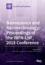 Nanoscience and Nanotechnology, Proceedings of the INFN-LNF 2018 Conference