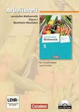 Lernstufen Mathematik 5. Schuljahr. Arbeitsheft mit eingelegten Lösungen und CD-ROM. Hauptschule Nordrhein-Westfalen