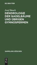 Dendrologie der Nadelbäume und übrigen Gymnospermen: Coniferophytina und Cycadophytina