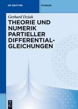 Theorie und Numerik partieller Differentialgleichungen