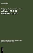 Advances in Morphology