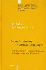 Focus Strategies in African Languages: The Interaction of Focus and Grammar in Niger-Congo and Afro-Asiatic