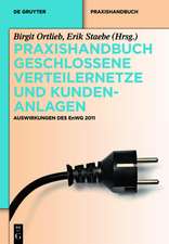 Praxishandbuch Geschlossene Verteilernetze und Kundenanlagen: Auswirkungen des EnWG