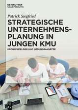 Strategische Unternehmensplanung in jungen KMU: Problemfelder und Lösungsansätze