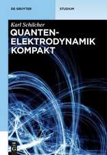 Quantenelektrodynamik kompakt