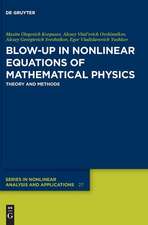 Blow-Up in Nonlinear Equations of Mathematical Physics