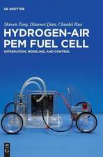 Hydrogen-Air PEM Fuel Cell