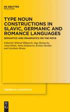 Type Noun Constructions in Slavic, Germanic and Romance Languages : Semantics and Pragmatics on the Move