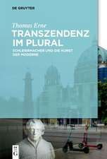 Transzendenz im Plural