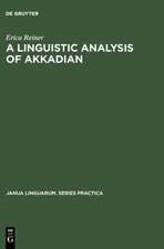 A Linguistic Analysis of Akkadian