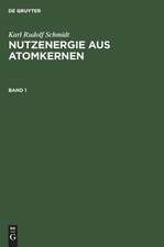 Nutzenergie aus Atomkernen : Einführung in Physik und Technik von Kernreaktor und Atomkraftwerk: Bd. 1