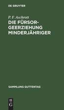 Die Fürsorgeerziehung Minderjähriger: Gesetz nebst Ausführungsbestimmungen und allen wichtigeren Ministerialerlassen ; Text-Ausgabe mit Einleitung und Erläuterungen