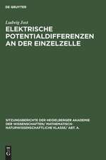 Elektrische Potentialdifferenzen an der Einzelzelle