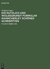 Ein nutzlich und wolgegrundt Formular Manncherley schöner schriefften: vollst. Faks.ausg. des Schreibmeisterbuches von 1553