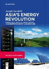 Asia's Energy Revolution