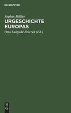 Urgeschichte Europas: Grundzüge einer prähistorischen Archäologie