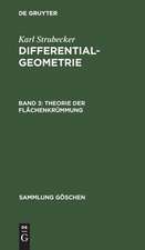 Theorie der Flächenkrümmung: aus: Differentialgeometrie, 3