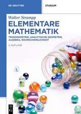 Strampp, W: Elementare Mathematik