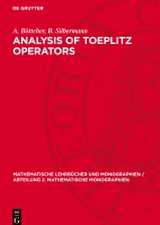 Analysis of Toeplitz Operators