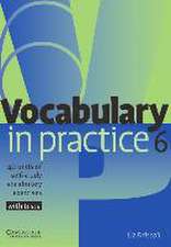 Vocabulary in Practice 6