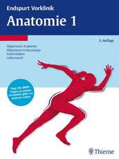 Endspurt Vorklinik: Anatomie 1