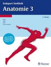 Endspurt Vorklinik: Anatomie 3